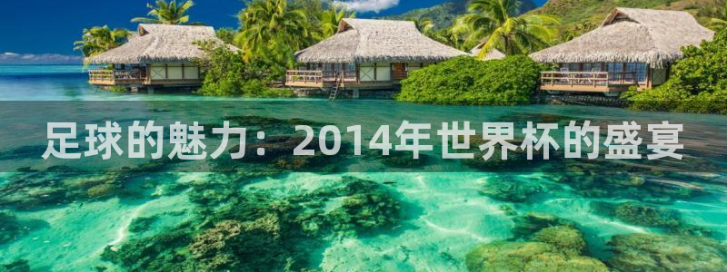 世界杯直播网站：足球的魅力：2014年世界杯的盛宴