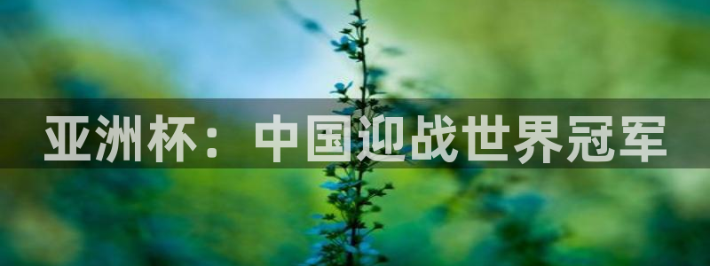 世界杯比赛直播：亚洲杯：中国迎战世界冠军