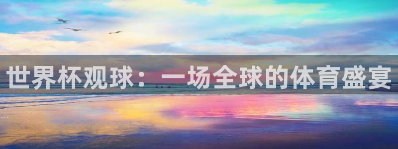 葡萄牙世界杯赛程：世界杯观球：一场全球的体育盛宴
