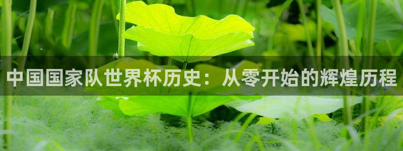世界杯预选赛赛程：中国国家队世界杯历史：从零开始的辉煌历程