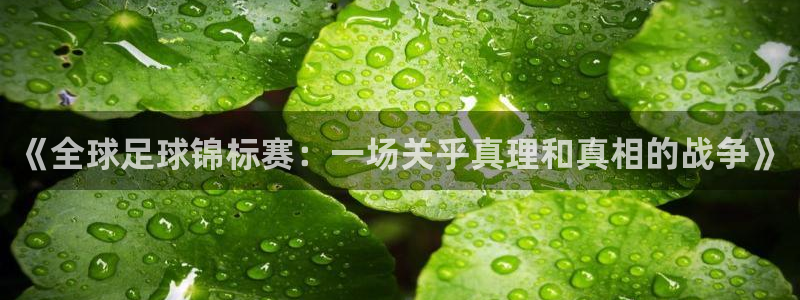 世界杯附加赛赛程表：《全球足球锦标赛：一场关乎真理和真相的战争》