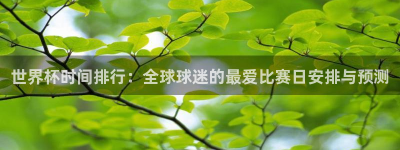 世界杯转播表：世界杯时间排行：全球球迷的最爱比赛日安排与预测