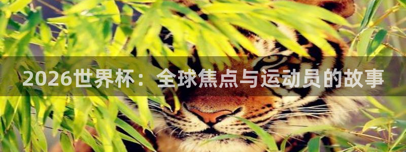 世界杯赛程表2026：2026世界杯：全球焦点与运动员的故事