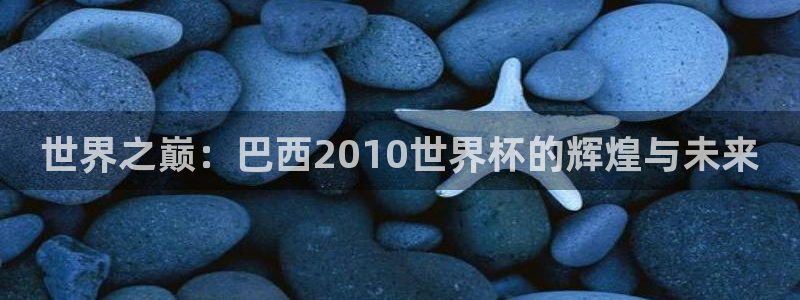 世界杯足球：世界之巅：巴西2010世界杯的辉煌与未来