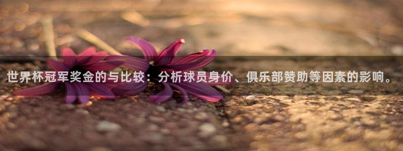 26世界杯：世界杯冠军奖金的与比较：分析球员身价、俱乐部赞助等因素的影响。