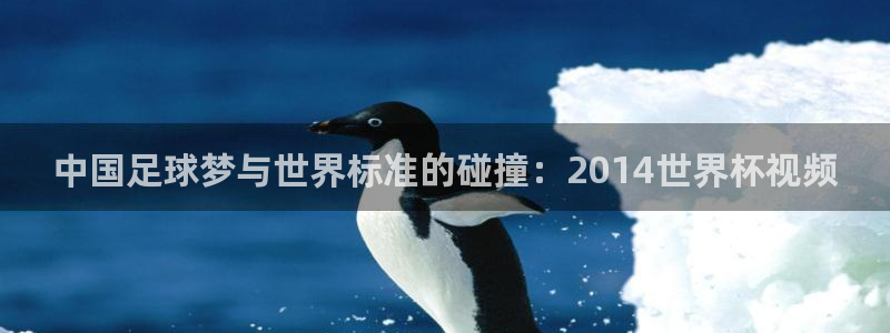 世界杯 直播：中国足球梦与世界标准的碰撞：2014世界杯视频