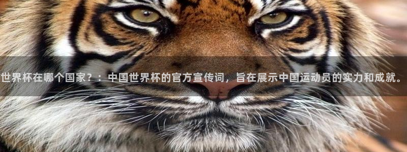 世界杯预选赛亚洲区积分榜：世界杯在哪个国家？：中国世界杯的官方宣传词，旨在展示中国运动员的实力和成就。