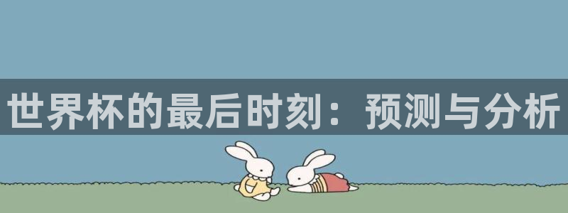 今年的世界杯：世界杯的最后时刻：预测与分析
