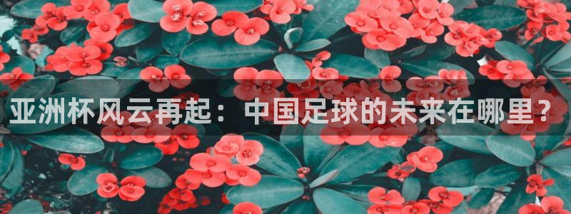 2026年男足世界杯：亚洲杯风云再起：中国足球的未来在哪里？
